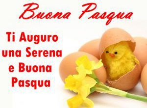 Frasi Auguri Di Pasqua Gratis 300x220 - Frasi Auguri Di Pasqua Gratis