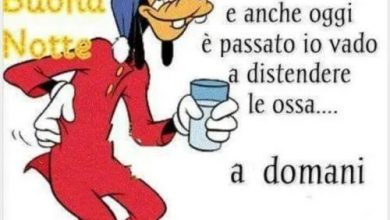 Frasi Buonanotte Dolci Immagini