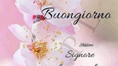 Frasi Celebri Buongiorno Immagini