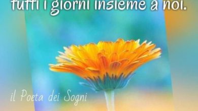 Frasi Di Buona Giornata Di Amicizia Immagini