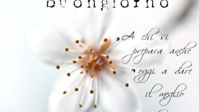 Frasi Di Buongiorno Dolci Immagini