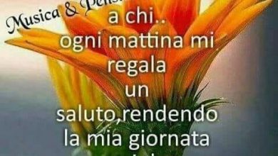 Frasi Di Buongiorno Immagini