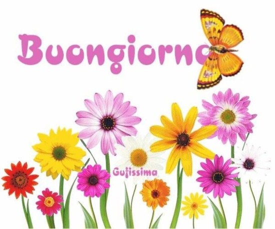 Frasi Di Buongiorno Per Amici Immagini