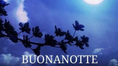 Frasi Divertenti Sulla Buonanotte Immagini