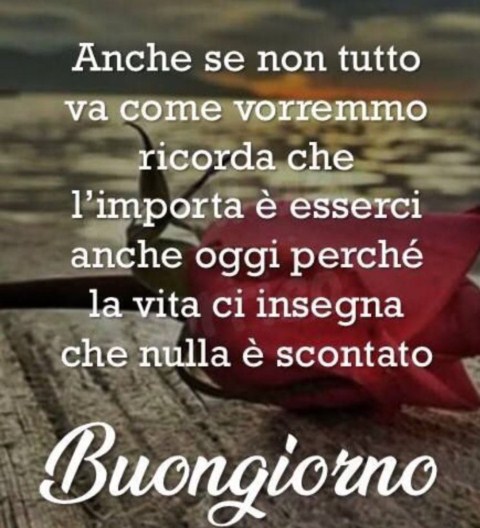 Frasi E Foto Del Buongiorno Immagini