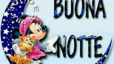 Frasi Per Una Buona Notte Immagini