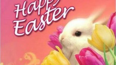 Frohe Ostern Whatsapp Bilder