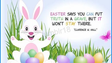 Funny Easter Greetings Quotes