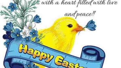 Funny Easter Quotes For Friends