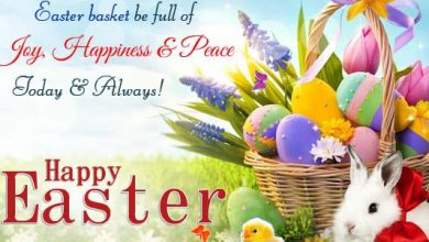 Funny Easter Wishes 390x220 - Funny Easter Wishes
