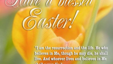 Funny Easter Wishes Messages
