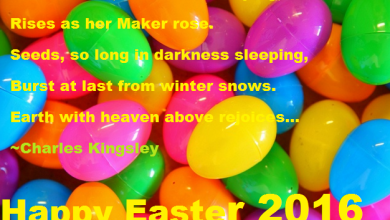 Happy Easter From