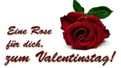 Happy Valentines Day Quotes Image