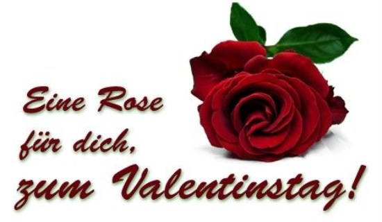 Happy Valentines Day Quotes Image