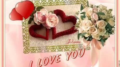 I Love You I Love You Song Image 390x220 - I Love You I Love You Song Image