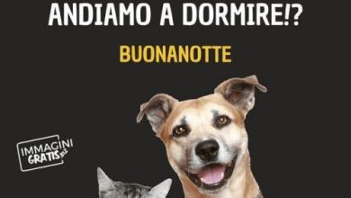 Immagini Di Buonanotte Immagini