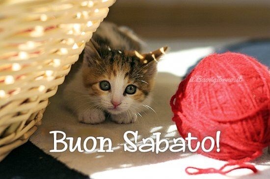 Immagini Per Augurare Buongiorno Immagini