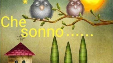 Immagini Simpatiche Della Buonanotte Immagini