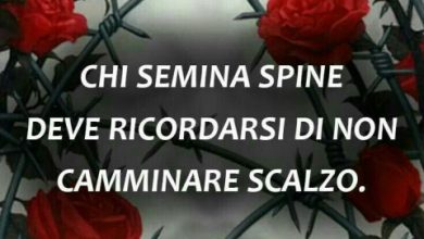 Le Frasi Piu Belle Per San Valentino Immagini