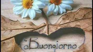 Link Del Buongiorno Romantici Immagini