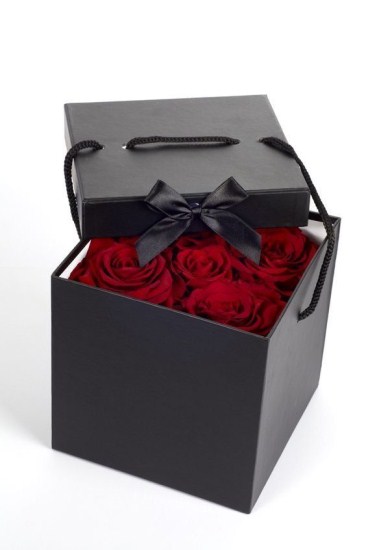 Lovers Day Greeting Cards Image