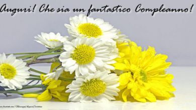 Pensieri Di Auguri Per Compleanno Immagini