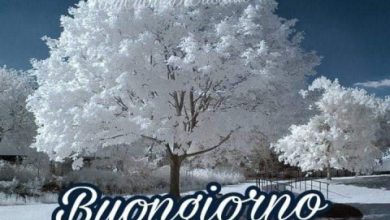 Pensieri Sul Buongiorno Immagini