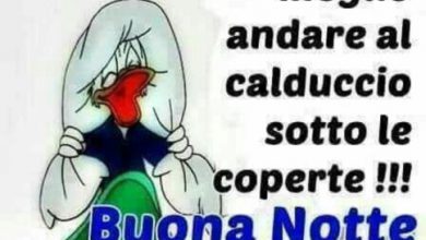 Saluto Della Buonanotte Immagini