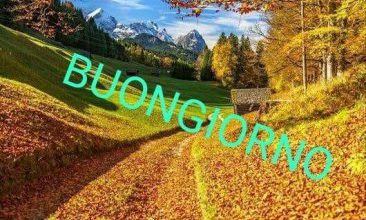 Un Bel Buongiorno Immagini