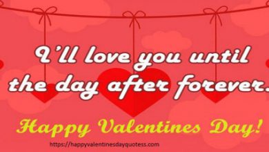 Valentine Day Wishes Quotes Image