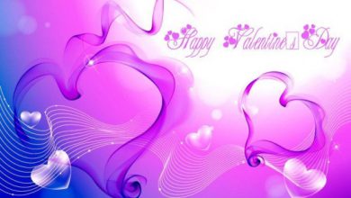 Valentines Day Colors Image