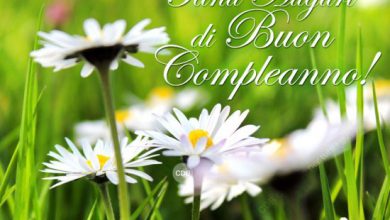 Video Auguri Di Buon Compleanno Immagini