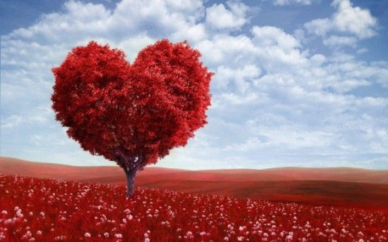 What Is Valentines Day Image
