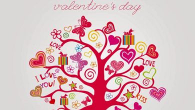 Why Valentine Day Is Celebrated Image