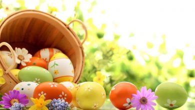 easter vector 390x220 - easter vector