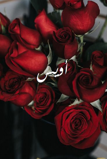 اسم أويس صور رومانسية بالورد