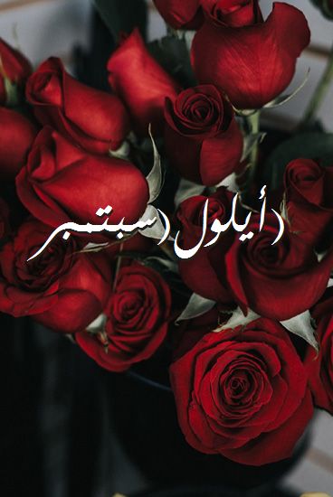 اسم أيلولسبتمبر صور رومانسية بالورد