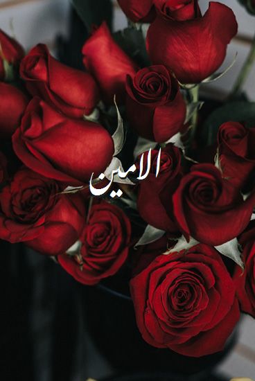اسم الامين صور رومانسية بالورد
