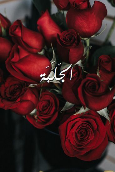 اسم الجَلَبَة صور رومانسية بالورد