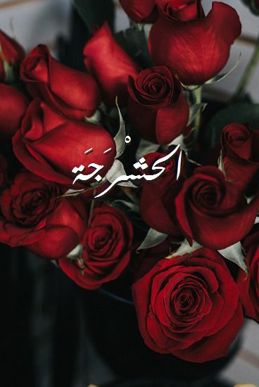 اسم الحشْرَجَة صور رومانسية بالورد