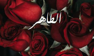 اسم الطاهر صور رومانسية بالورد