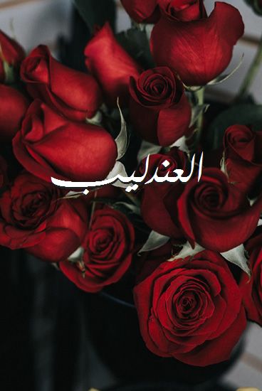 اسم العندليب صور رومانسية بالورد