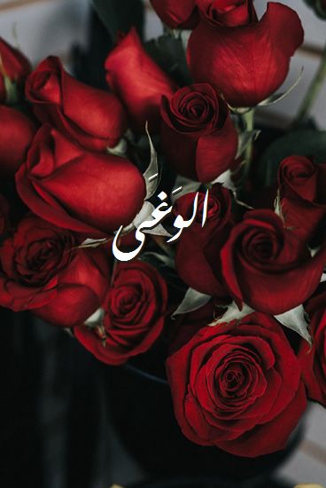 اسم الوَغَى صور رومانسية بالورد
