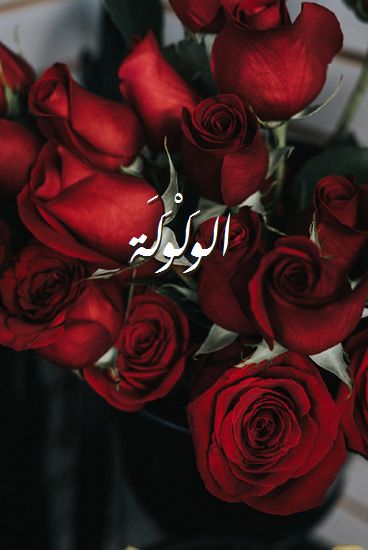 اسم الوَلْوَلَة صور رومانسية بالورد