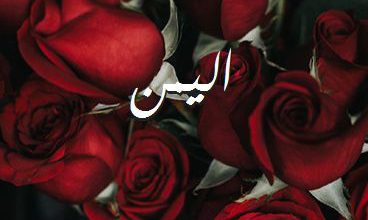 اسم اليمن صور رومانسية بالورد