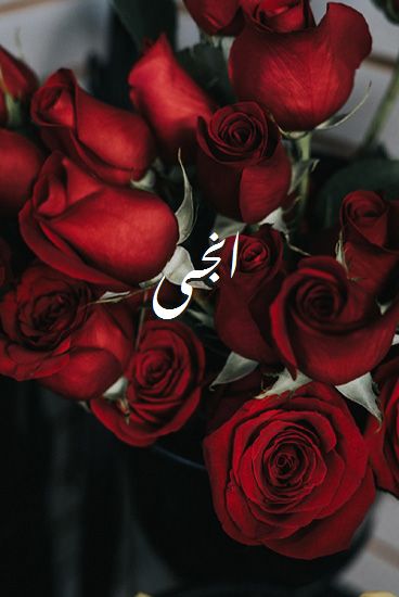 اسم انجى صور رومانسية بالورد