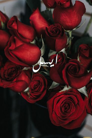 اسم ايسل صور رومانسية بالورد