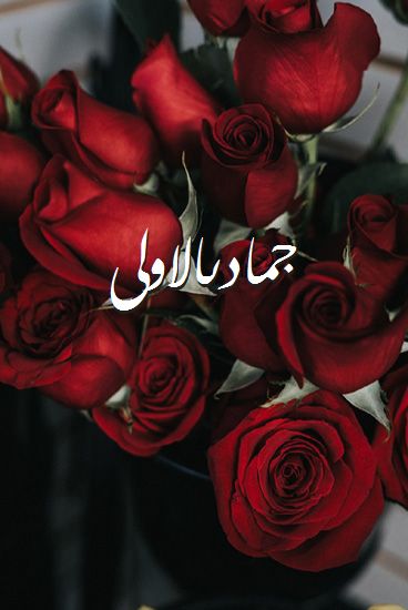 اسم جمادىالاولى صور رومانسية بالورد