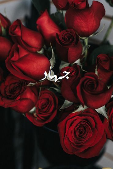 اسم جهاد صور رومانسية بالورد
