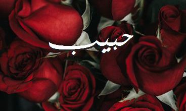 اسم حبيب صور رومانسية بالورد
